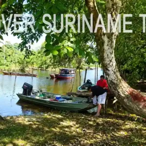 Kleine boten liggen onder bomen langs de rivier
