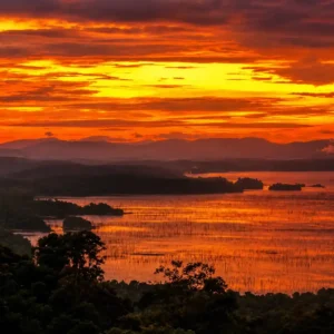 Kleurrijke zonsopkomst in Suriname natuur