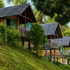 Jungle Resort Pingpe